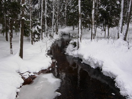 Зимой в окрестностях Комарово