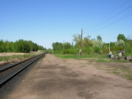 Paltsevo_2010-2