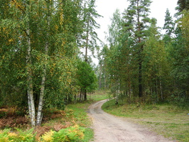 Sakkola-Noitermaa-8.jpg