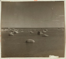 С. М. Прокудин-Горский. &quot;Море у мест. Метсакюля&quot;. 1900-е годы.