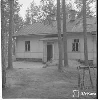 sa-kuva 134901 Kuokkala 1943-08-15