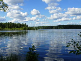 Озеро Щучье 2017 08 14