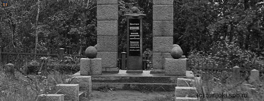 Фото 17 _ Фрагмент памятника с ограждением
