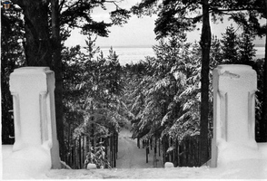Вид на залив с верхней площадки лестницы. 1960-е гг.