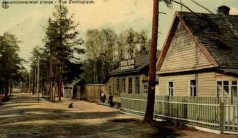 Сестрорецк, Зоологическая ул., 1910-е гг.
