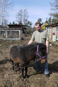 Детский зоопарк Радуга в Зеленогорске: шетлендский пони «Принц»